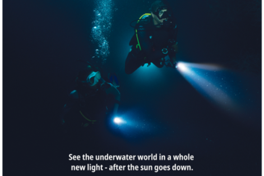 Night Diver